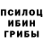 Псилоцибиновые грибы GOLDEN TEACHER Nata Brom