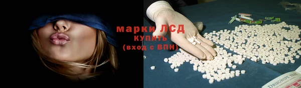 гидра Надым