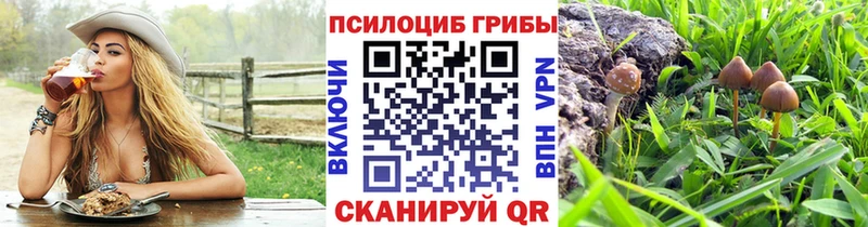 Псилоцибиновые грибы Magic Shrooms  Куйбышев 