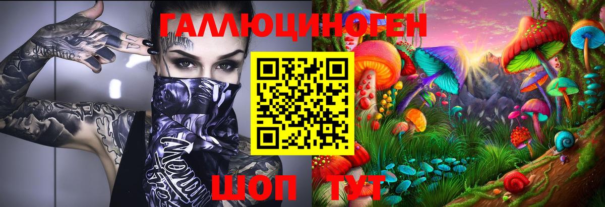 Галлюциногенные грибы Psilocybe Куйбышев