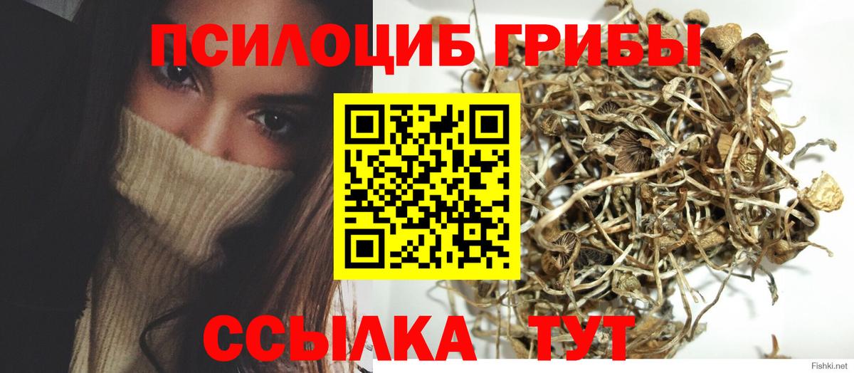 где можно купить наркотик  Псилоцибиновые грибы мухоморы  Галлюциногенные грибы GOLDEN TEACHER  Вход с VPN  Куйбышев 